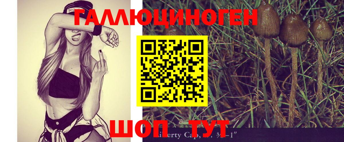 Галлюциногенные грибы ЛСД Саянск