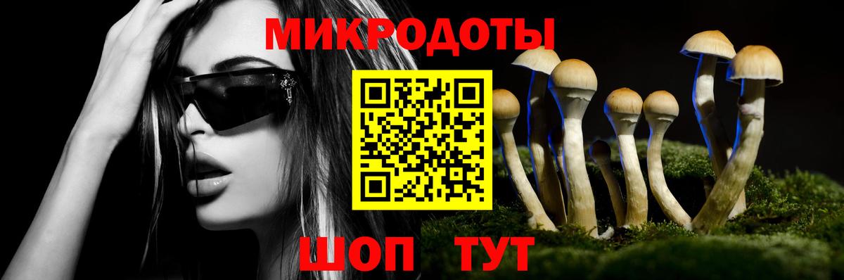 Галлюциногенные грибы Psilocybe  Вход с VPN  Саянск 